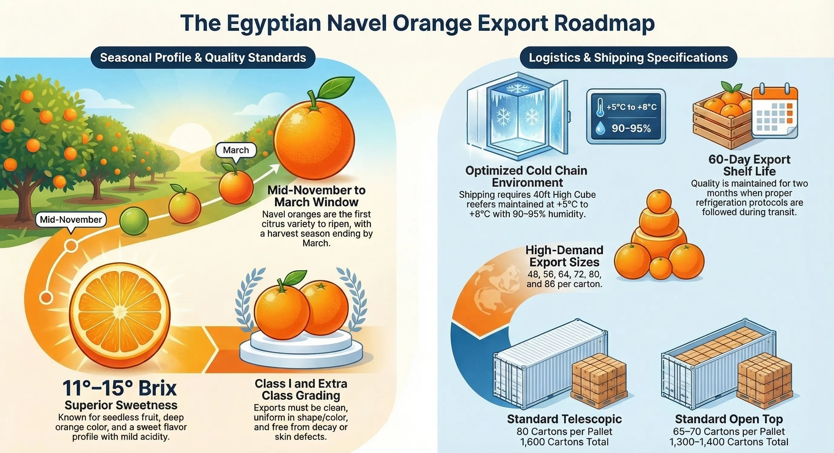 Egyptian Oranges