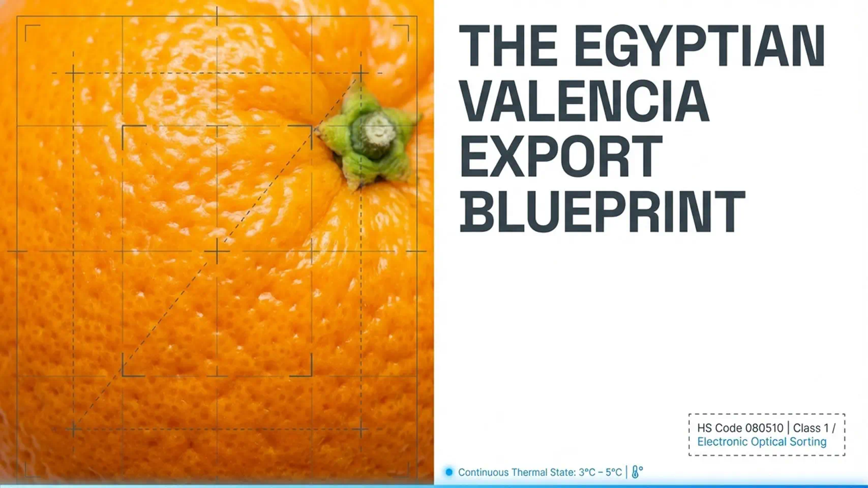 Egyptian Oranges