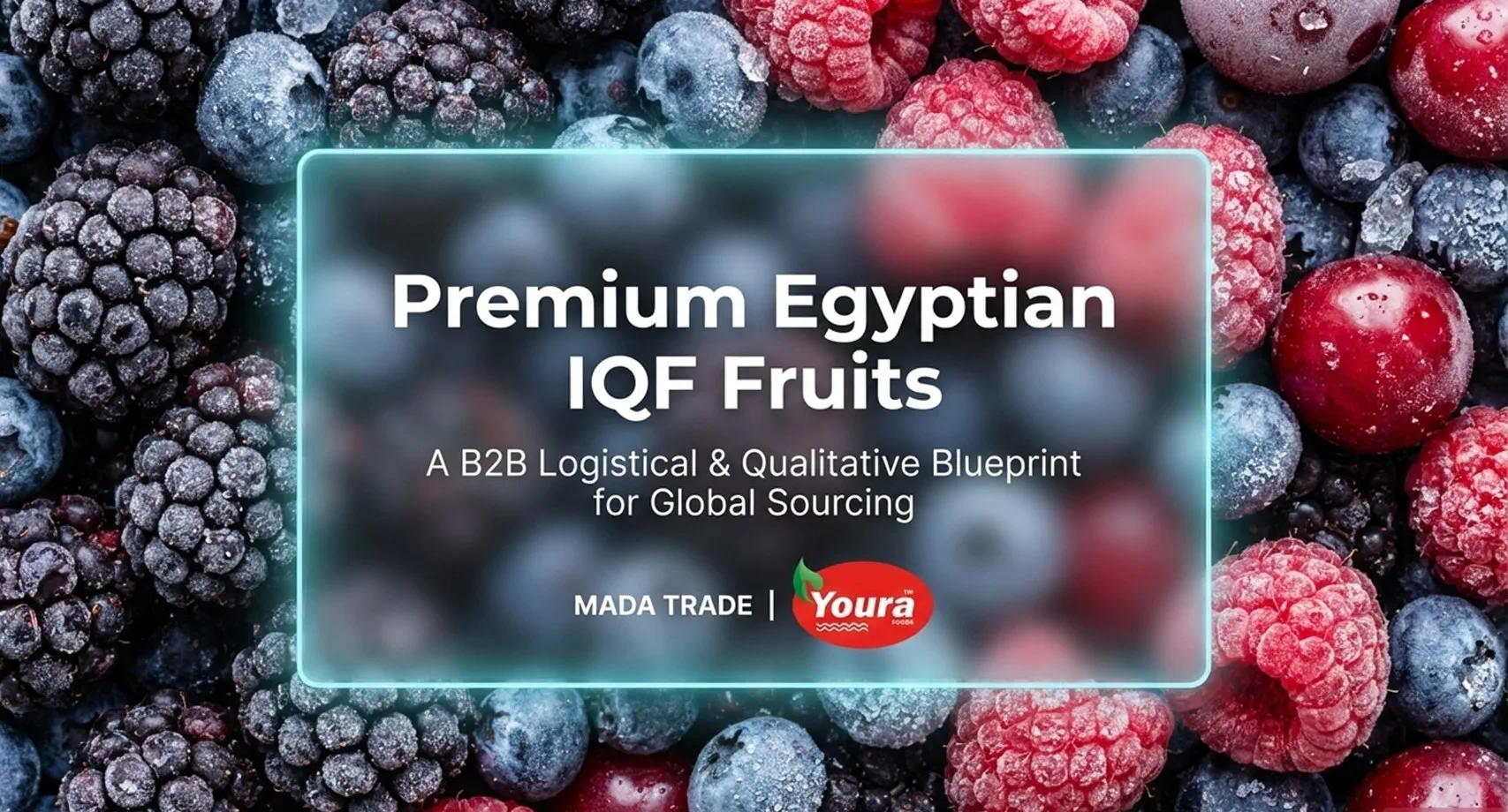 IQF Fruits