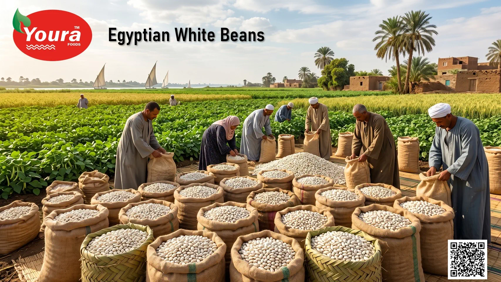 Egyptian White Bean