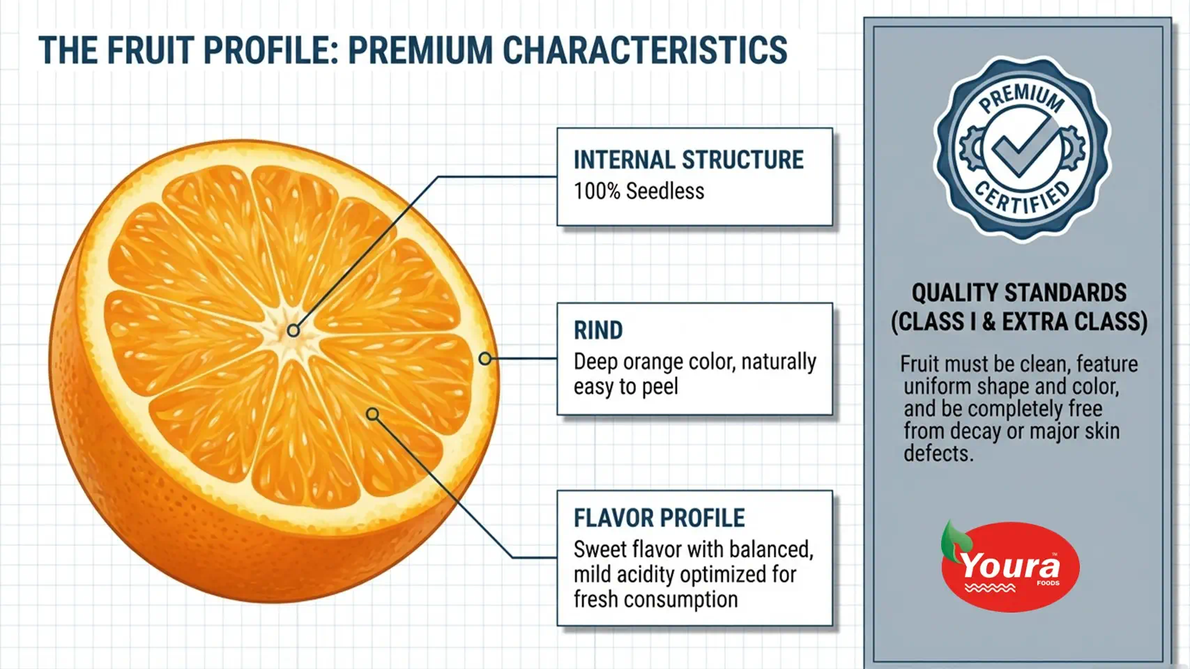 Egyptian Oranges