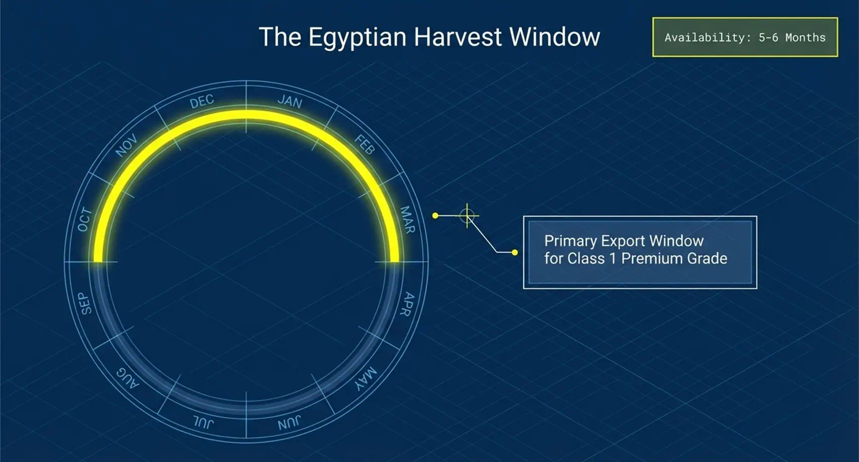 Egyptian Lemon