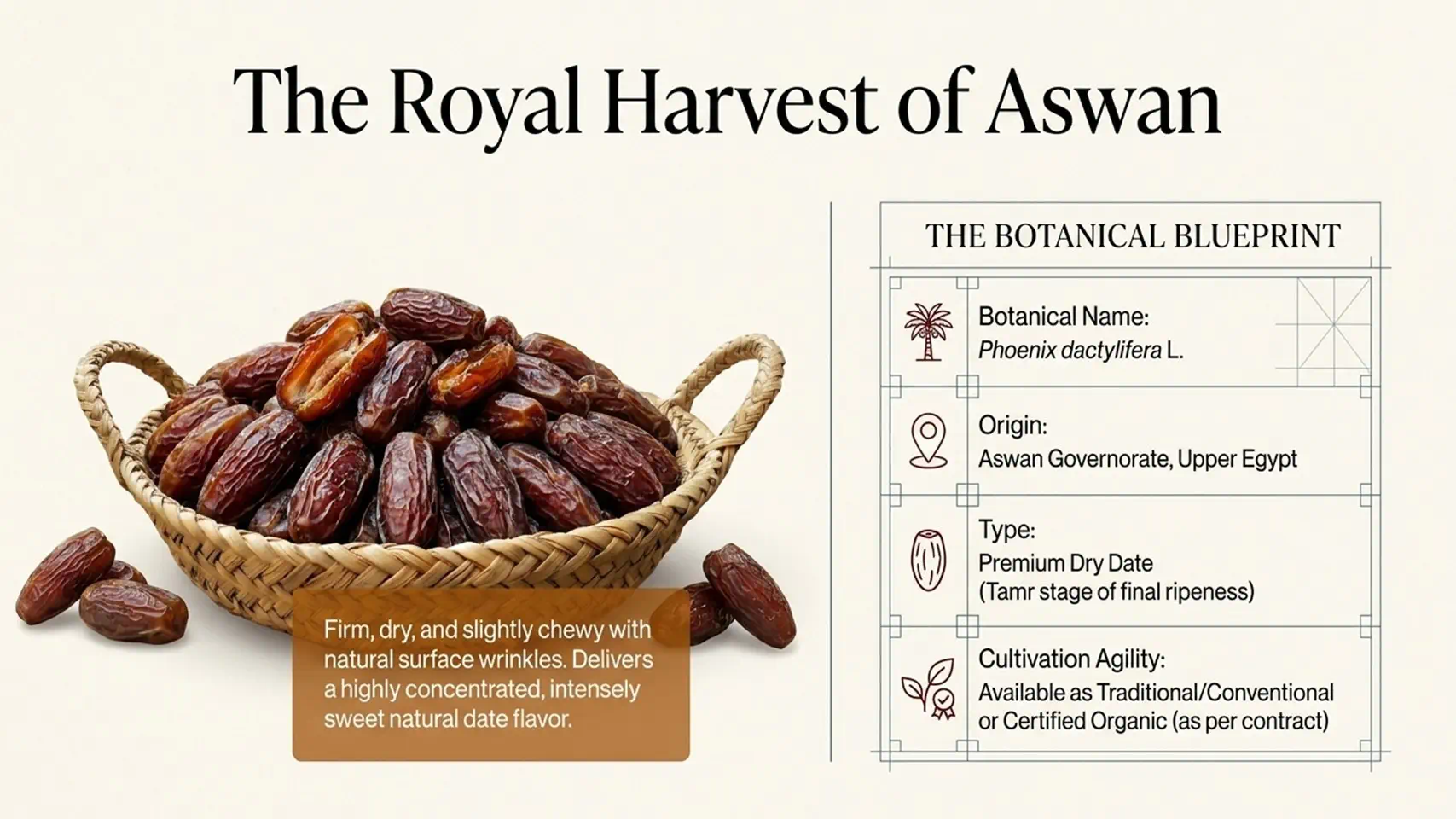 Egyptian Malakabi Dates