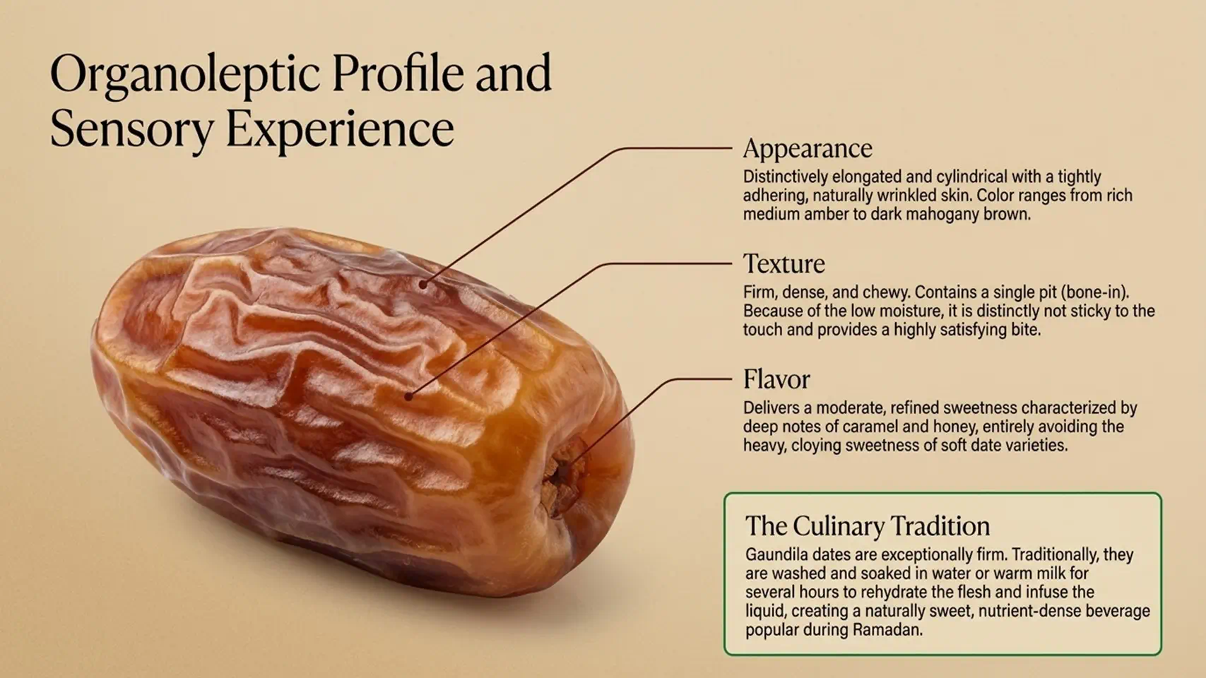 Egyptian Gaundila Dates