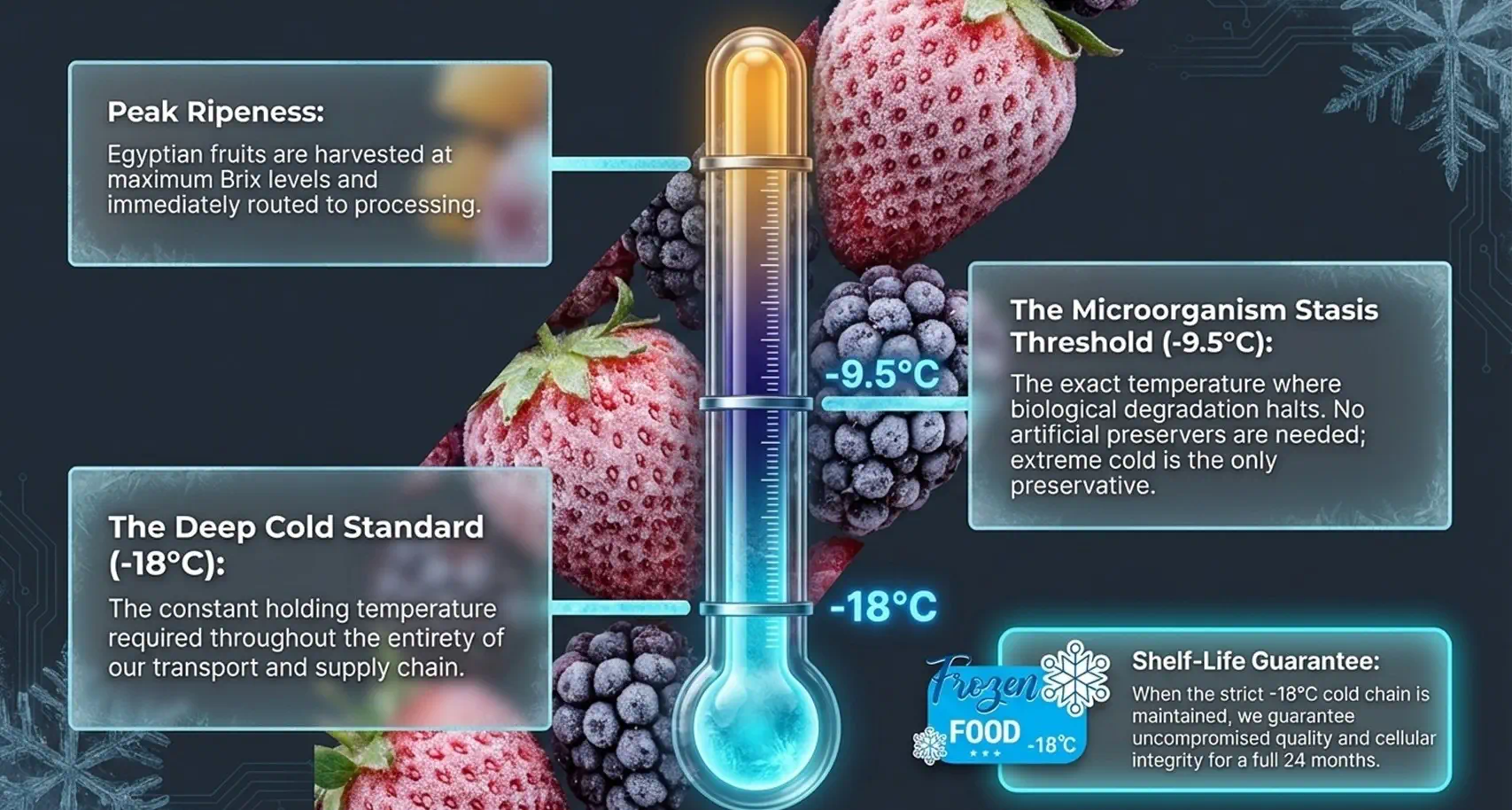 IQF Fruits