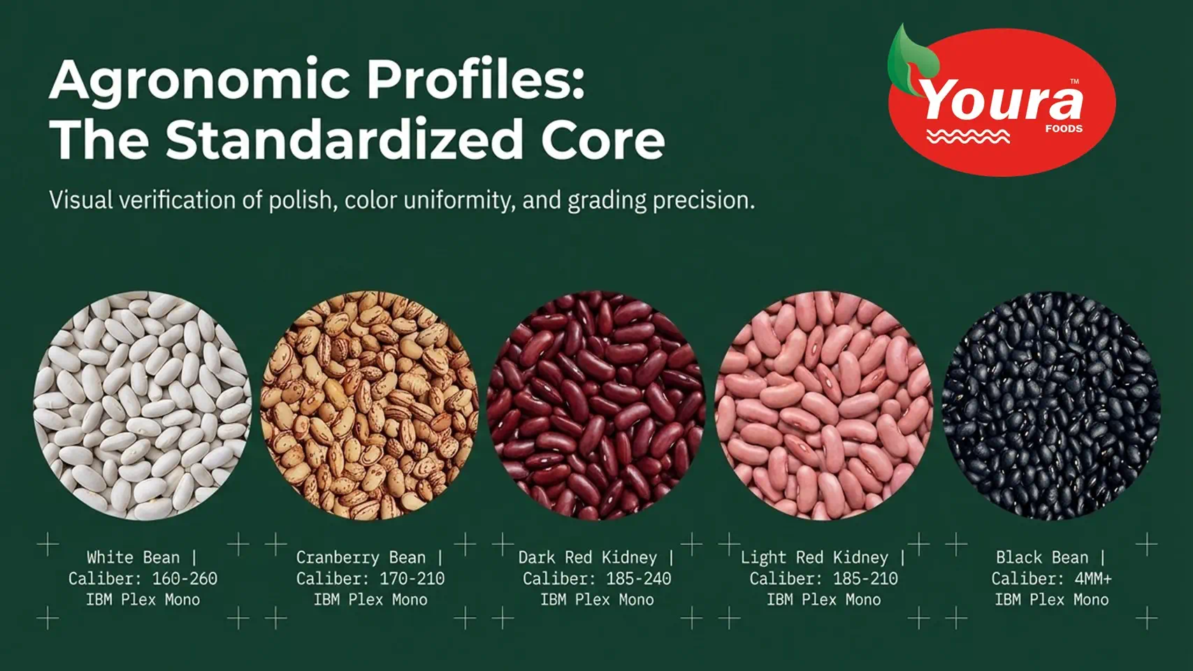 Pulses & Cereals