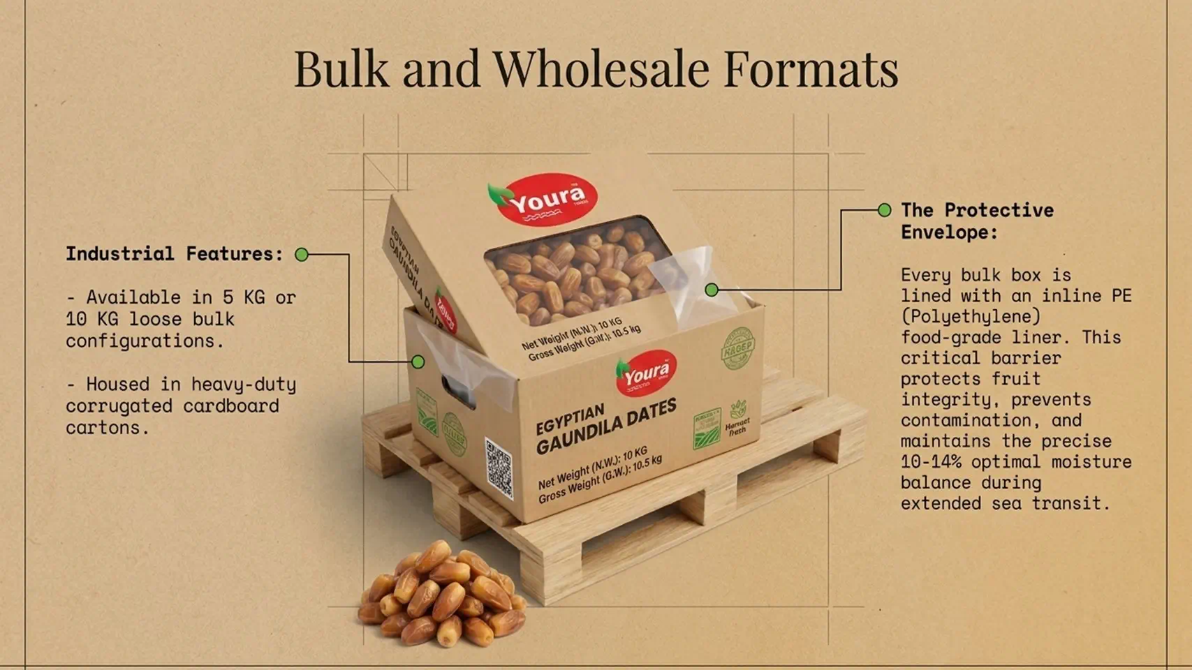 Egyptian Gaundila Dates