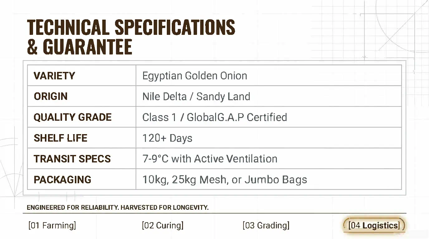 Egyptian Yellow / Gold Onions
