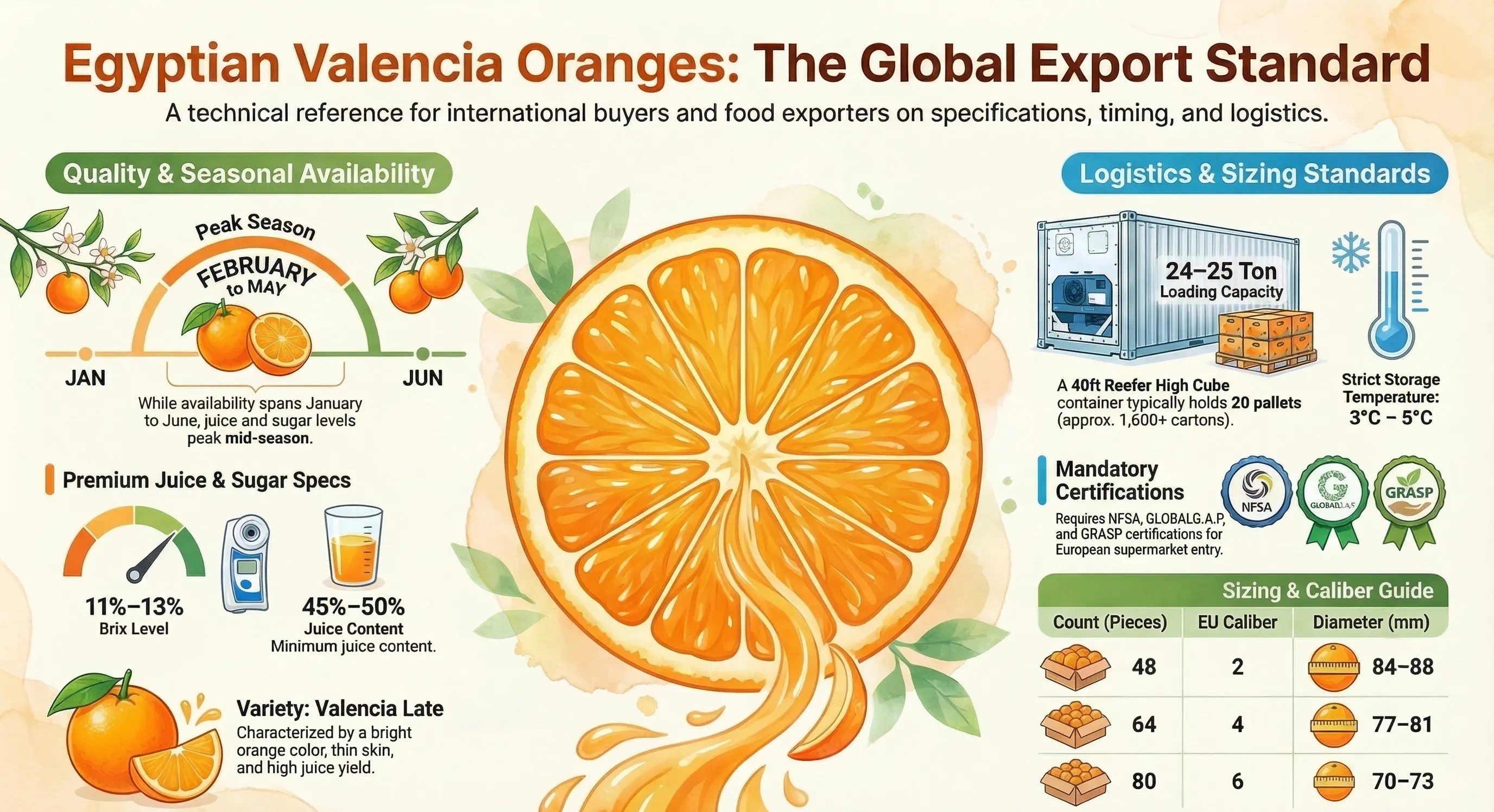 Egyptian Oranges