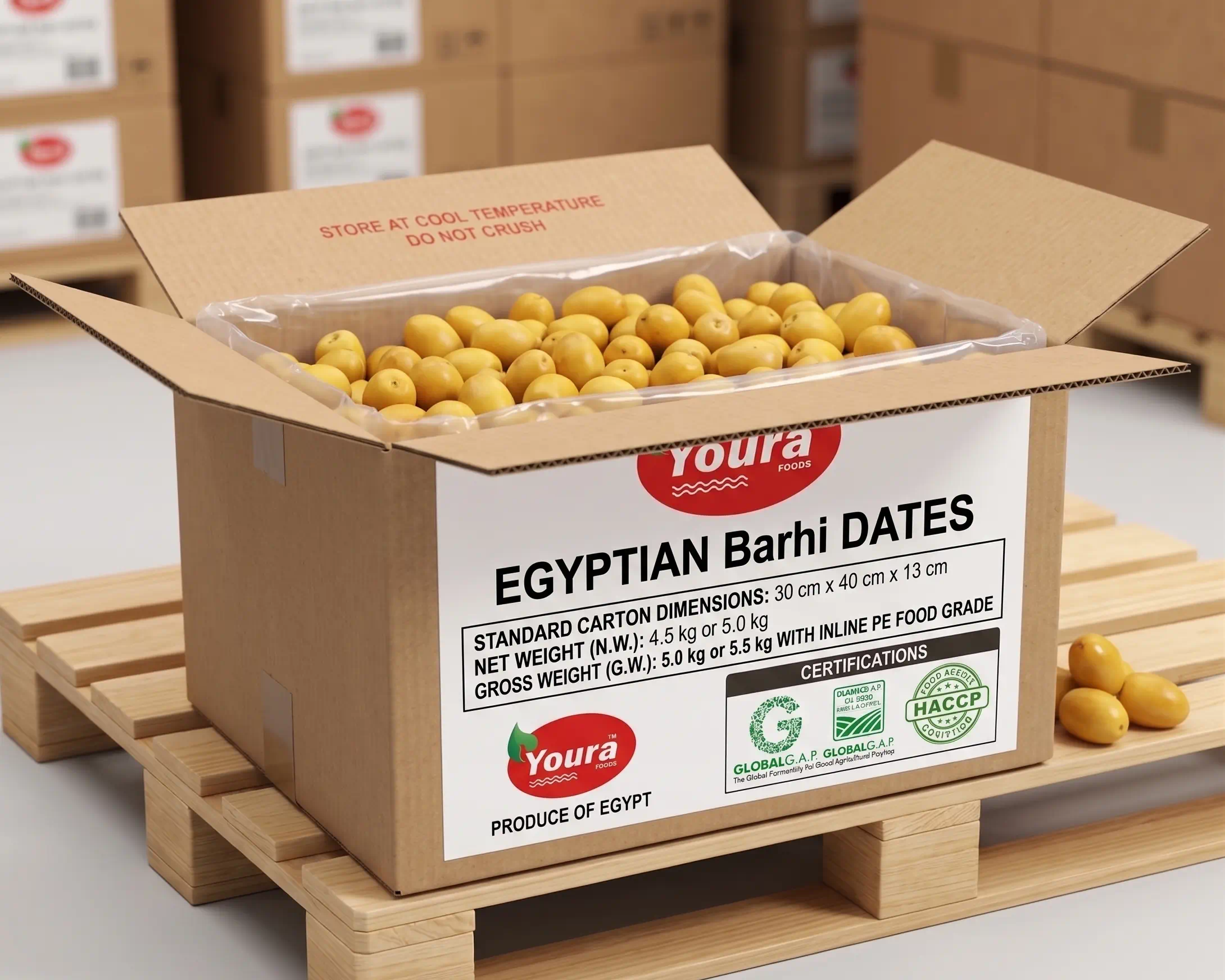 Egyptian Barhi Dates