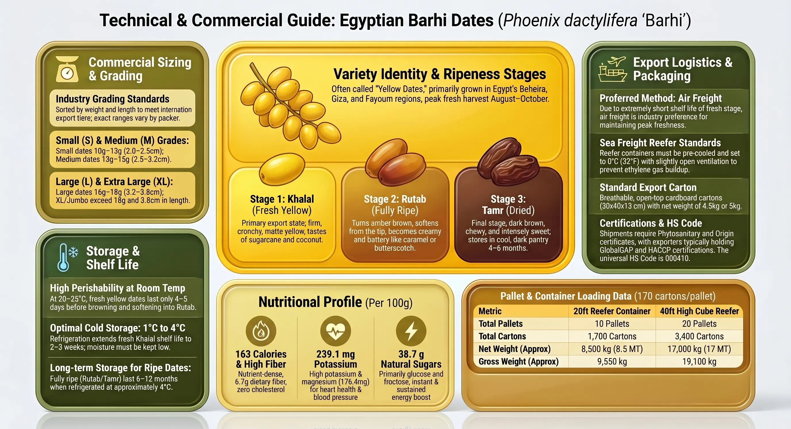 Egyptian Barhi Dates