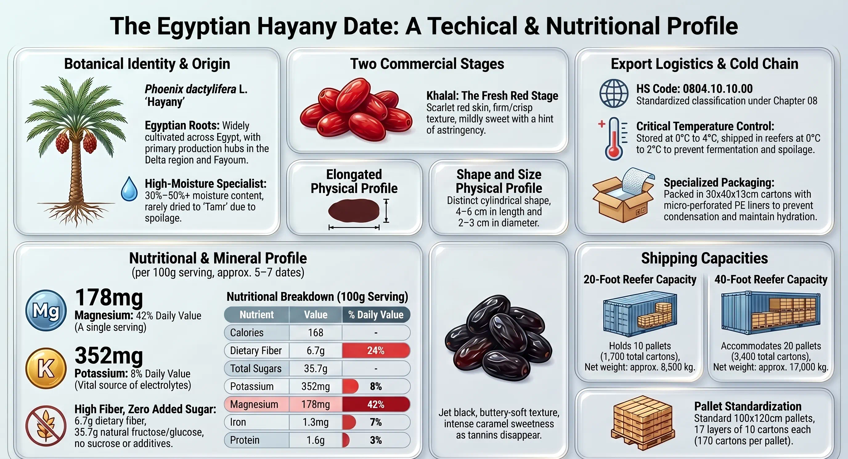 Egyptian Hayany Dates