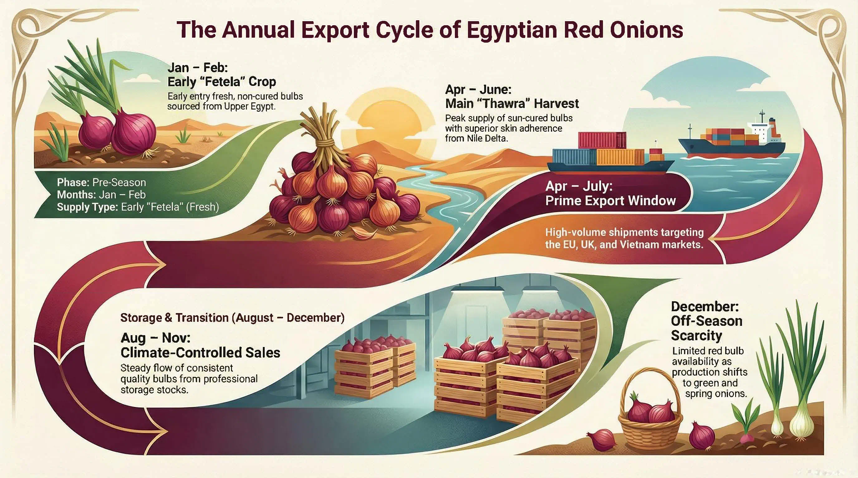 Egyptian Red Onion
