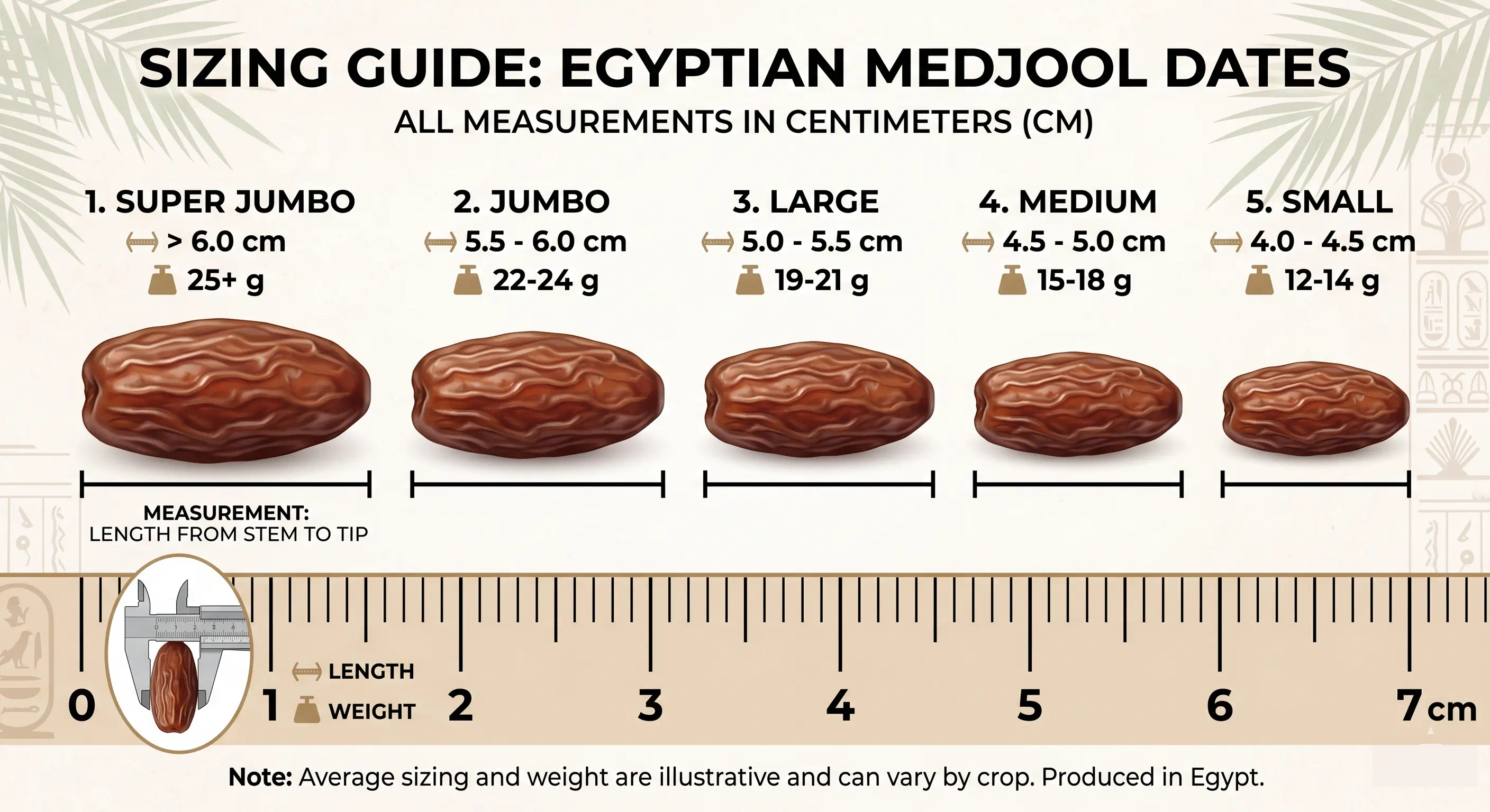 Egyptian Soft & Fresh Dates