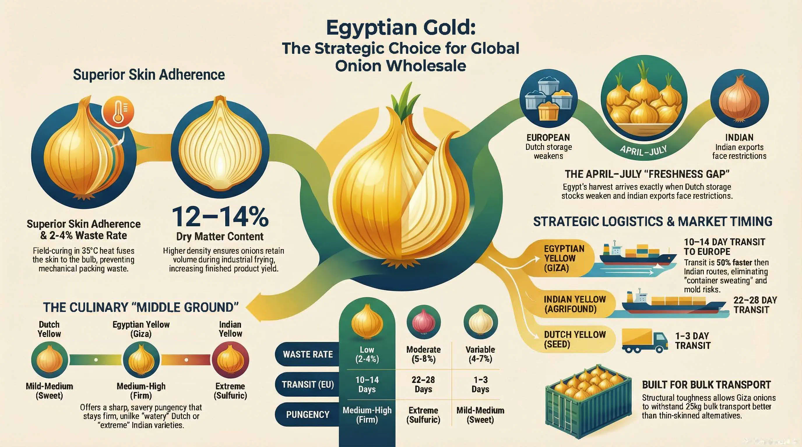 Egyptian Yellow / Gold Onions