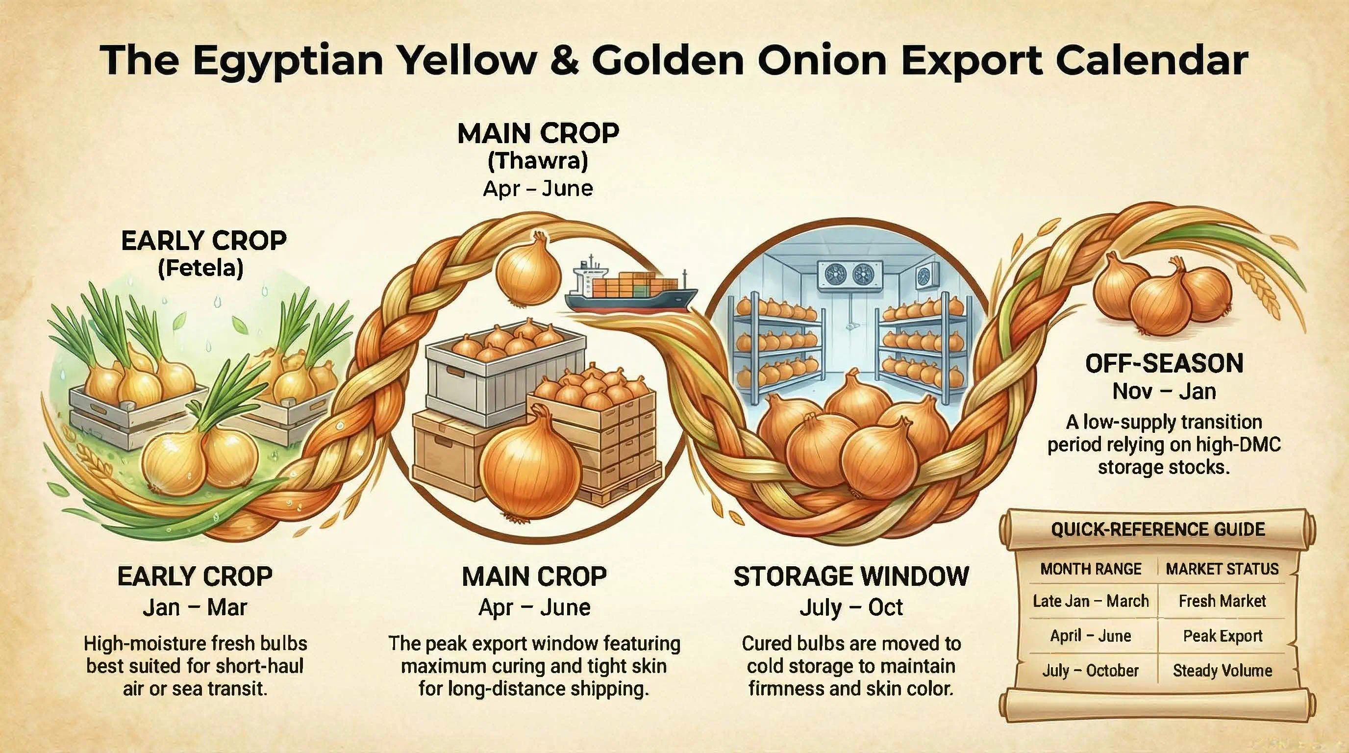 Egyptian Yellow / Gold Onions